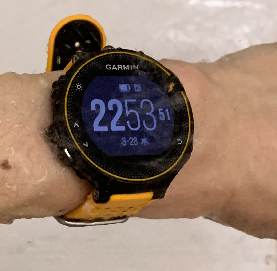 Garmin Foreathlete 235jで時刻が狂っているときの直し方 猫の手も借りたいブログ